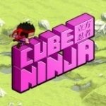Картинка Cube Ninja